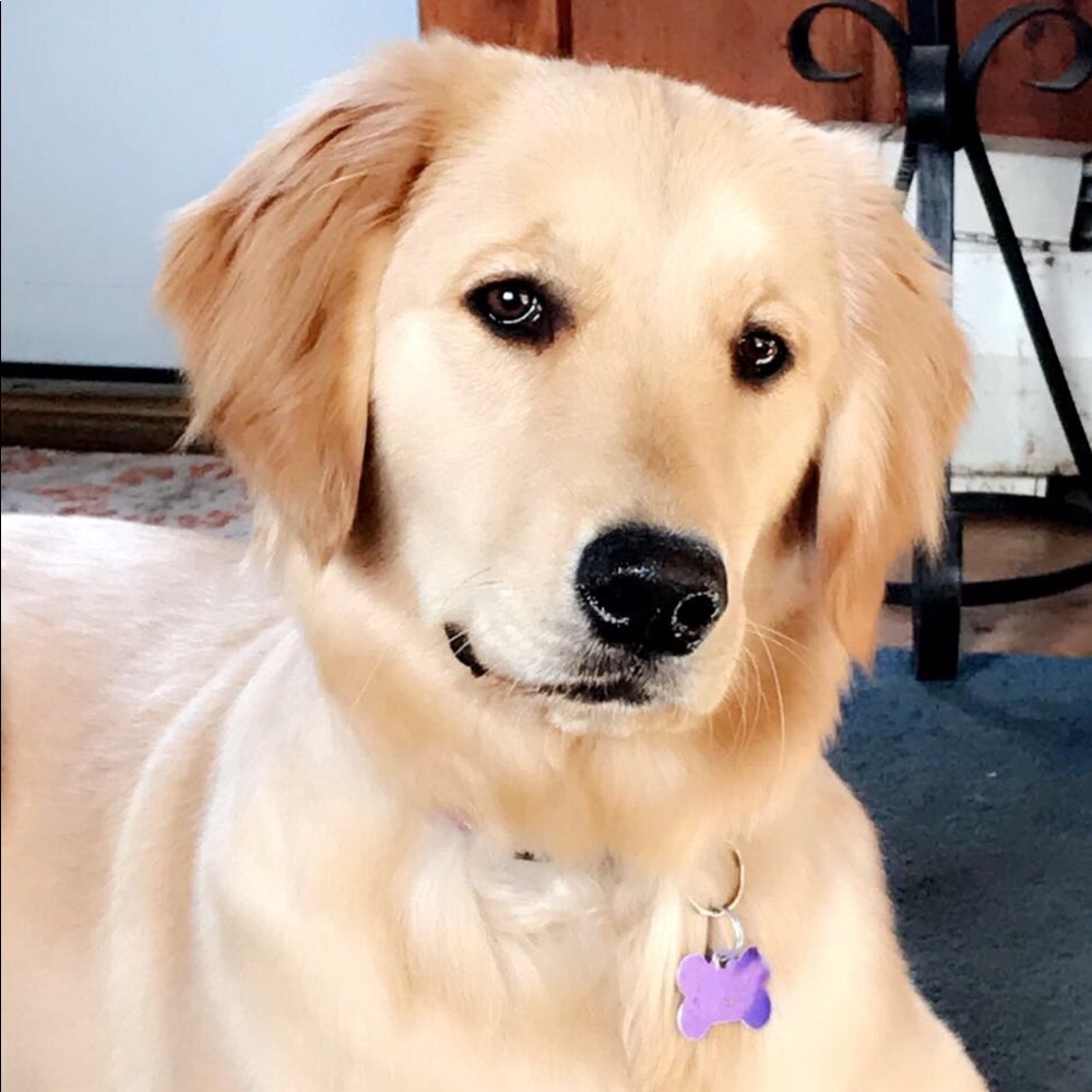 Meet your Posher, Cindy